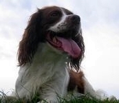 click for a larger view